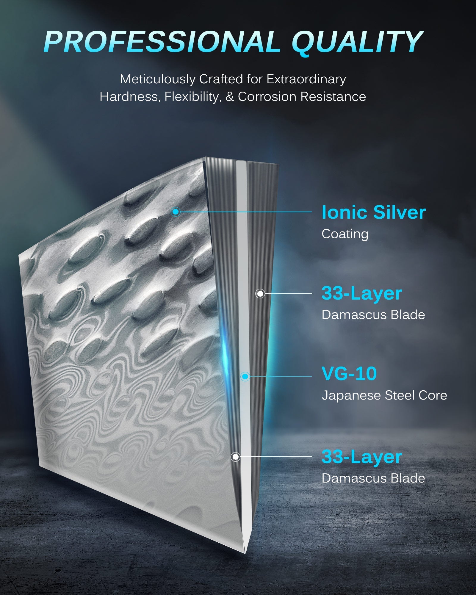 10" Brisket Butcher Knife VG10 Damascus Steel Silver-ion Coating | Gin Series