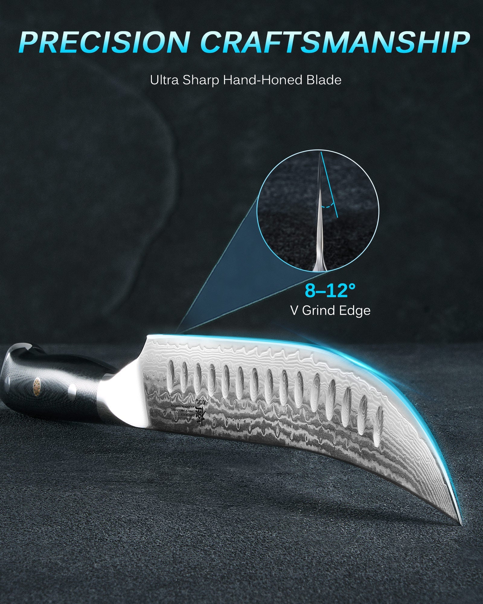 10" Brisket Butcher Knife VG10 Damascus Steel Silver-ion Coating | Gin Series