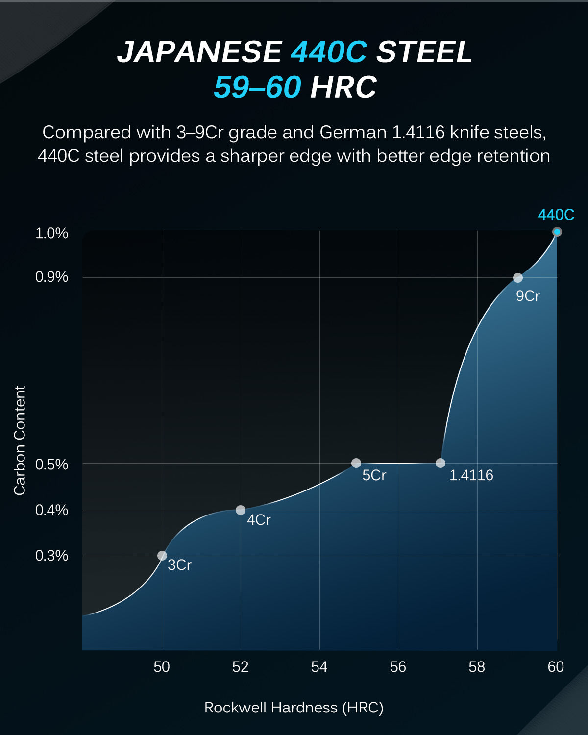 12" Slicing Knife | Daimyo Series Kyoku Knives