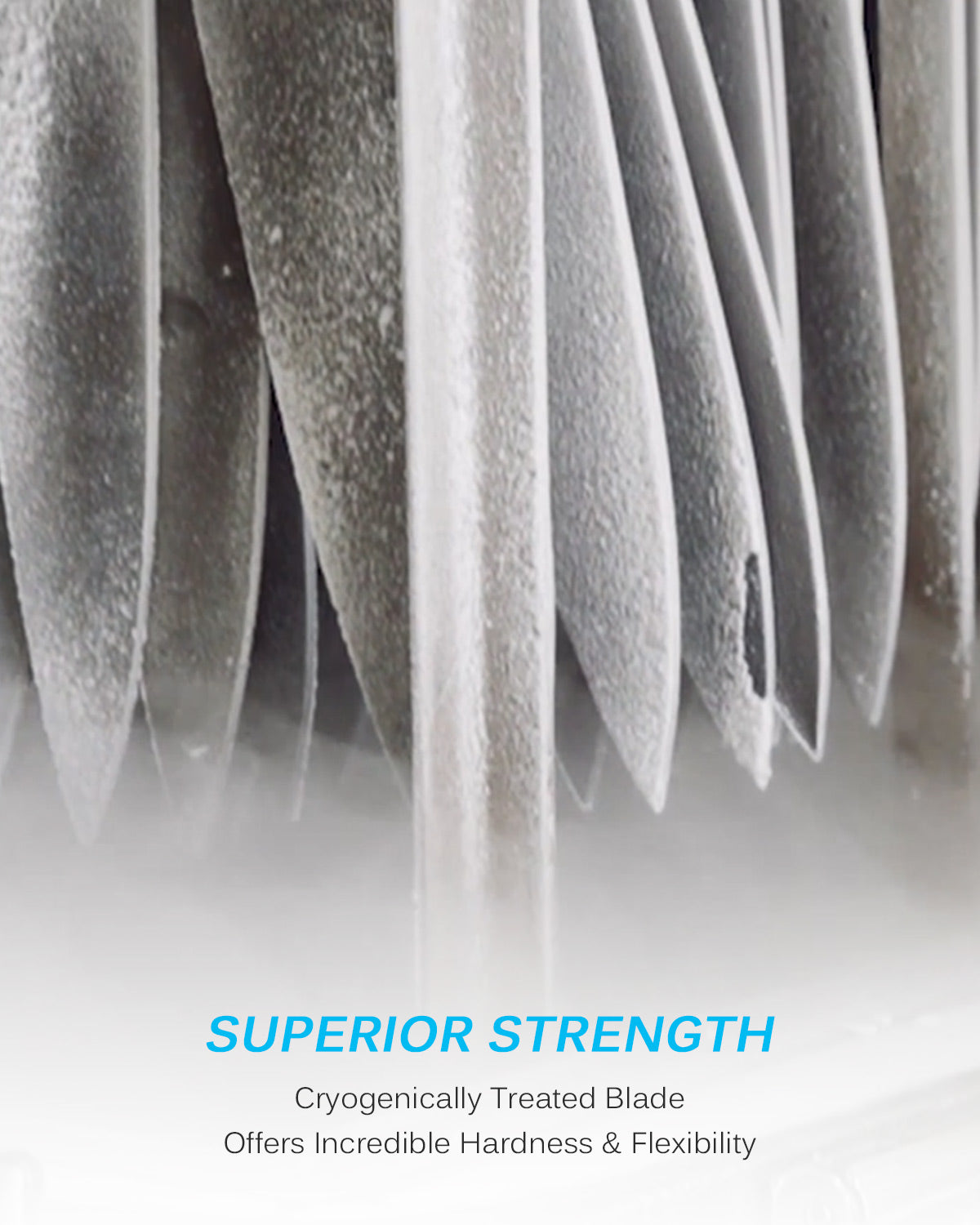 12" Slicing Knife | Samurai Series Kyoku Knives