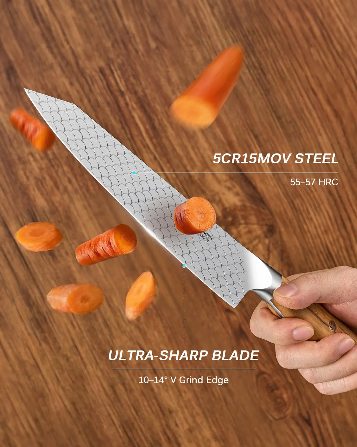 8.5" Kiritsuke Knife For Gift | KOI Series Kyoku Knives