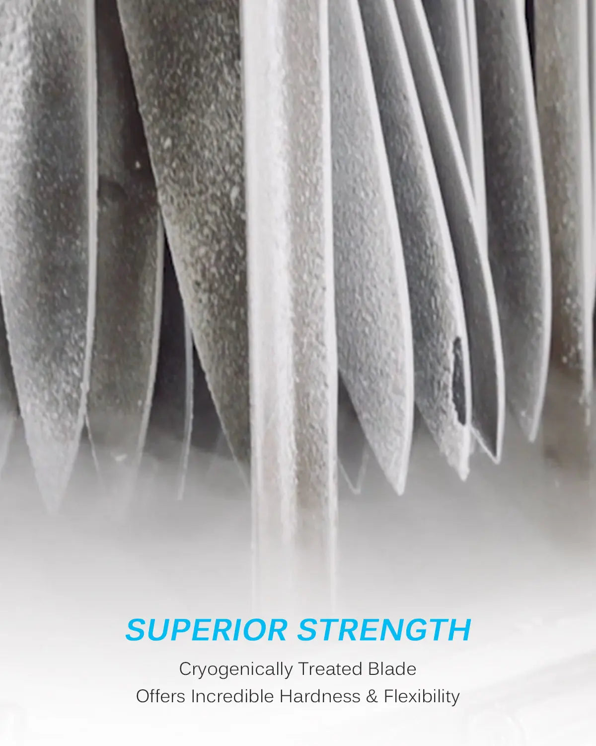 Bundle For Budget Cooks, Chef Knife + Nakiri Knife| Samurai Series Kyoku Knives