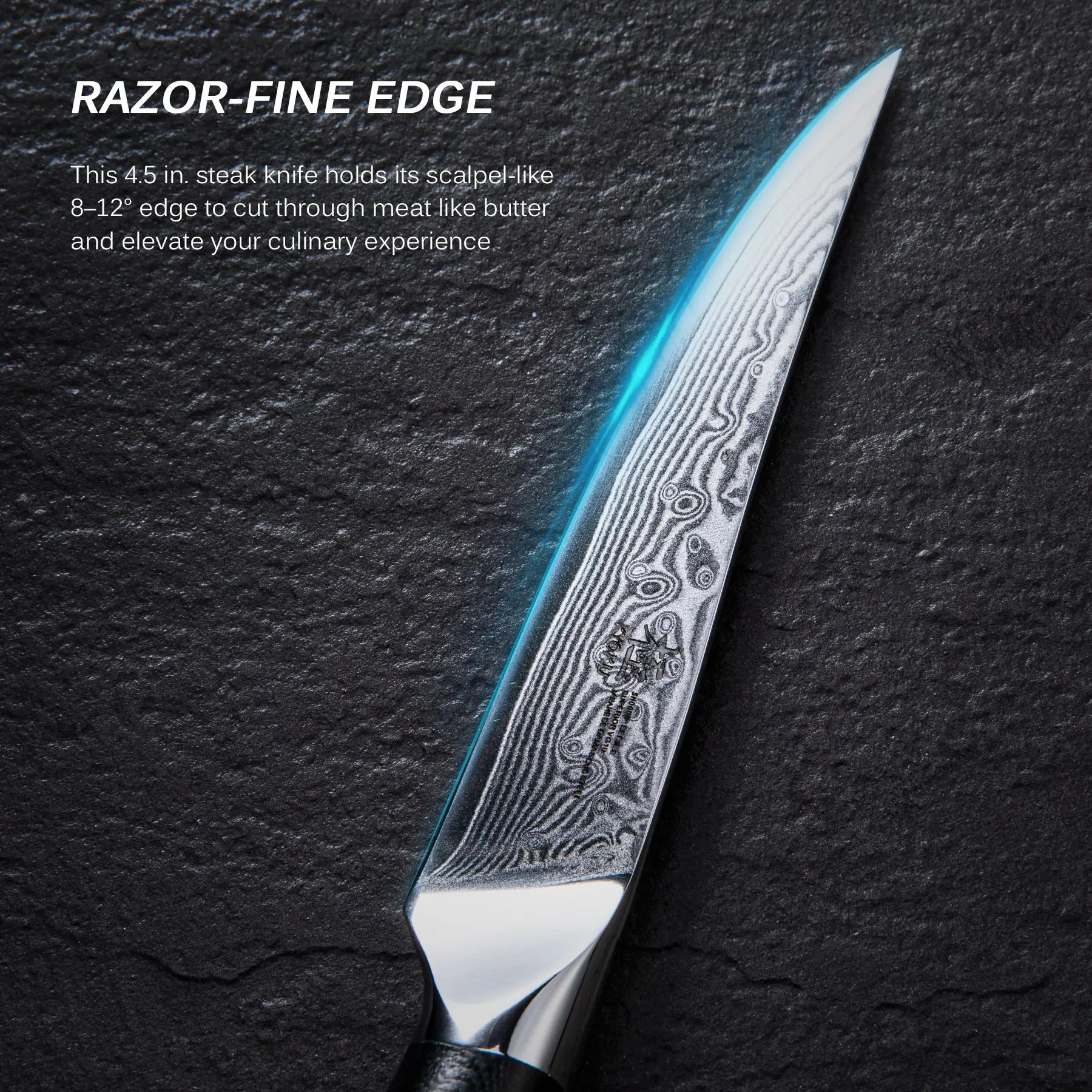 Bundle For Steak Lovers, Steak Knives + Slicing Knife| Shogun Gin Series Kyoku Knives