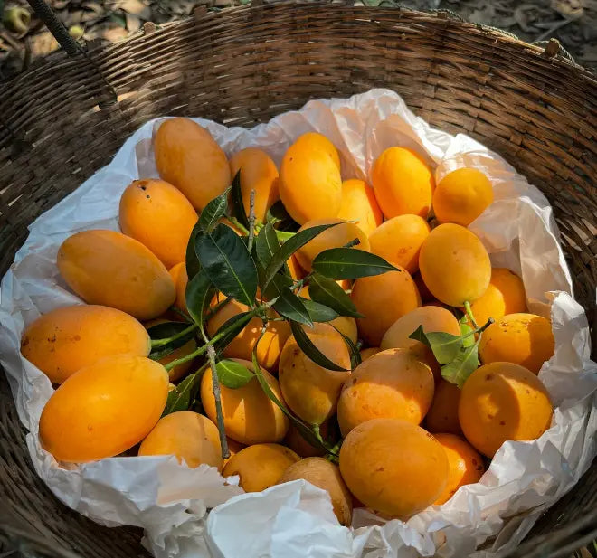 How to Cut a Honey Mango Like a Pro