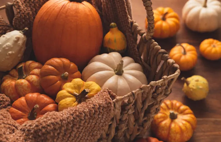 What to Do with Extra Pumpkin Pie Filling